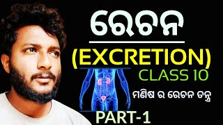 ରେଚନEXCRETION class 10 life science chapter4 in odia  Rechana  part1 [upl. by Alinoel]