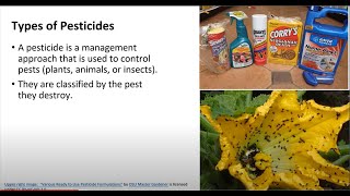 Intro To Agriculture Pesticides And Herbicides [upl. by Ilocin]