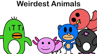 The Weirdest Animals To Ever Exist [upl. by Ytirehc]