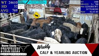 2272024  Beaver County Stockyards Weekly Calf amp Yearling Auction [upl. by Eelhsa900]