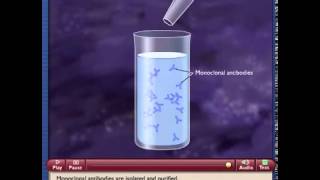 Monoclonal Antibody Production [upl. by Ayerim462]