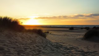 StrandTraum  BeachDream  Renesse NL  4K UHD [upl. by Calvina]