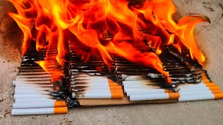 Destroying cigarette 🔥🔥 [upl. by Ajay]