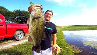 Catching GIANT Bass on Topwater Frogs [upl. by Atinuahs]