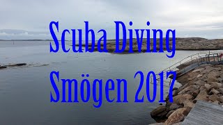 Scuba Diving  Smögen 2017 [upl. by Darrej472]