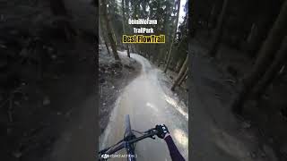 Best Flow Trail Dolnì Morava bikepark czech downhill endurotrails mtb ebike bike mountains [upl. by Alida290]