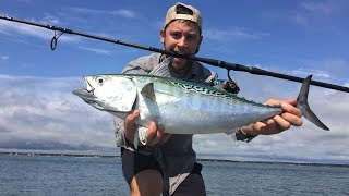 Surf Fishing FALSE ALBACORE TUNA Long Island [upl. by Palmore]