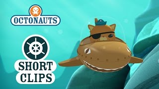 Octonauts Kwazii Meets Mixed Up Whale [upl. by Phillis]