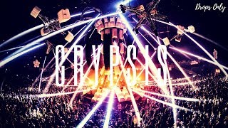 HARDSTYLE DROPS ONLY Crypsis  Qapital 2016 [upl. by Eatnoid]