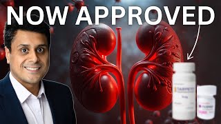 NEW TREATMENT for KIDNEY DISEASE  Hope for IgA Nephropathy nowapproved [upl. by Eilegna]