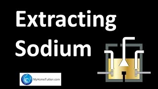 Extraction of Sodium  Redox Equilibrium [upl. by Netsud]