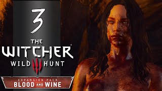 Blood and Wine Witcher 3  Part 3  Corvo Bianco  Lets Play  Gameplay Walkthrough [upl. by Salakcin]