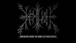 Demilich  Somewhere Inside the Bowels of Endlessness Full Demo  1992 [upl. by Nananne17]