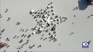 Special installation for Art Week on Miami Beach calls attention to coral reef crisis [upl. by Leviralc]