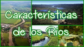 ¿Cuáles son las características físicas de los Ríos  Las partes de los Ríos [upl. by Oilerua]