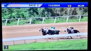 5ta carrera Hipódromo Camarero 🇵🇷 [upl. by Alleyn]