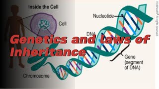 Concept of Genetics [upl. by Ahsilak]