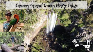 Ep 5 Canungra amp Queen Mary Falls [upl. by Ellesor]