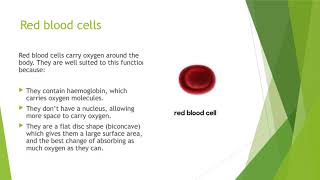 KS3 Biology  Specialised Cells [upl. by Seena]