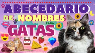 Abecedario de Nombres para Gatas 😻🌟 [upl. by Mak]