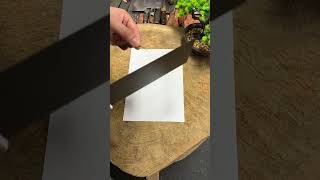 Extremely sharp good knife recommendation slicing knife [upl. by Ydissac]