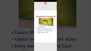 Anopheles mosquito is responsible for causing malariait usually grows in clean stagnant water [upl. by Anayaran]