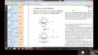 Glycolysis Part 1Hexokinase reaction and mechanisms [upl. by Thalassa]