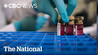 2100 cancer blood test is now available in Canada – but is it effective [upl. by Akenot]