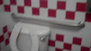 The Five Guys Toilet Scream [upl. by Nylevol]