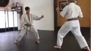 ippon kumite  returning wave step [upl. by Perceval667]