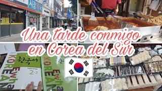 Una tarde conmigo en Corea 🇰🇷🇨🇱 Hablo en Coreano  Comida Latina y Coreana Nicolisa Vlogs [upl. by Aihsined]