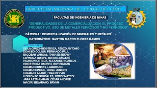 GRUPO N°2 COMERCIALIZACIÓN DE MINERALES Y METALES [upl. by Anaynek52]