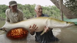 Incredible REEL TIME Arapaima Catch  ARAPAIMA  River Monsters [upl. by Inoek]