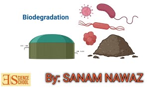 Use of Microbes in Biodegradation  Biotechnology  SANAM NAWAZ [upl. by Utir980]