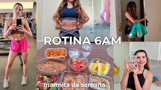 ROTINA 6AM  Marmitas da semana Cardápio saudável Compras da Dieta Reeducação Alimentar [upl. by Annekcm]