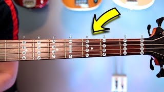 Music Theory For BASSISTS  What You MUST Know [upl. by Arbas]