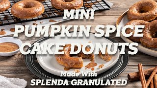 Mini Pumpkin Spice Cake Donuts  Made with Splenda [upl. by Nitnerb]