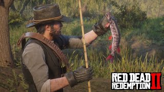 Red Dead Redemption 2  Legendary Redfin Pickerel Location amp Catch [upl. by Nnyleahs]