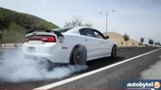 2013 Dodge Charger Super Bee HEMI SRT8 Test Drive amp Muscle Car Video Review [upl. by Klenk]