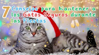 7 CONSEJOS PARA MANTENER A LOS GATOS SEGUROS DURANTE LAS FIESTAS [upl. by Gabriellia]