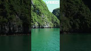 Discover Ha Long Bays Hidden Wonders travel history vlog mystical vietnam [upl. by Zetnahs583]