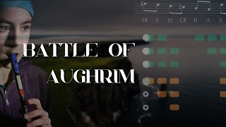 Battle of Aughrim  TUTORIAL  Tin Whistle [upl. by Ludwog]