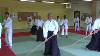 AIKIDO APA PERCHE [upl. by Mayrim667]