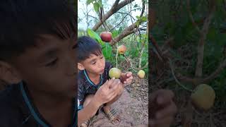 Ăn táo có nhiều nước  Eating apples has a lot of water shorts [upl. by Blalock455]