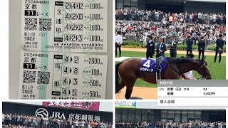 宝塚記念🏇京都競馬場 [upl. by Ninnette939]