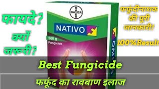 Best Fungicide Bayer Nativo Full specificationsसबसे बड़ियां फफूंदीनासक बायर नाटिवो की पूरी जानकारी [upl. by Aynosal]