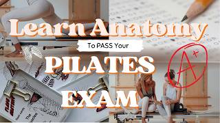 How to Study and Learn Anatomy for Your Pilates Exam [upl. by Einon]