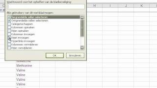 Excelblad en kolommen beveiligen [upl. by Ffej]