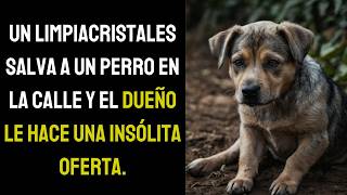 UN LIMPIACRISTALES SALVA A UN PERRO EN LA CALLE Y EL DUEÑO LE HACE UNA INSÓLITA OFERTA [upl. by Esoj]