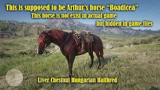 Arthur finally gets his OG horse quotBoadiceaquot  Red Dead Redemption 2 [upl. by Ennaxor]